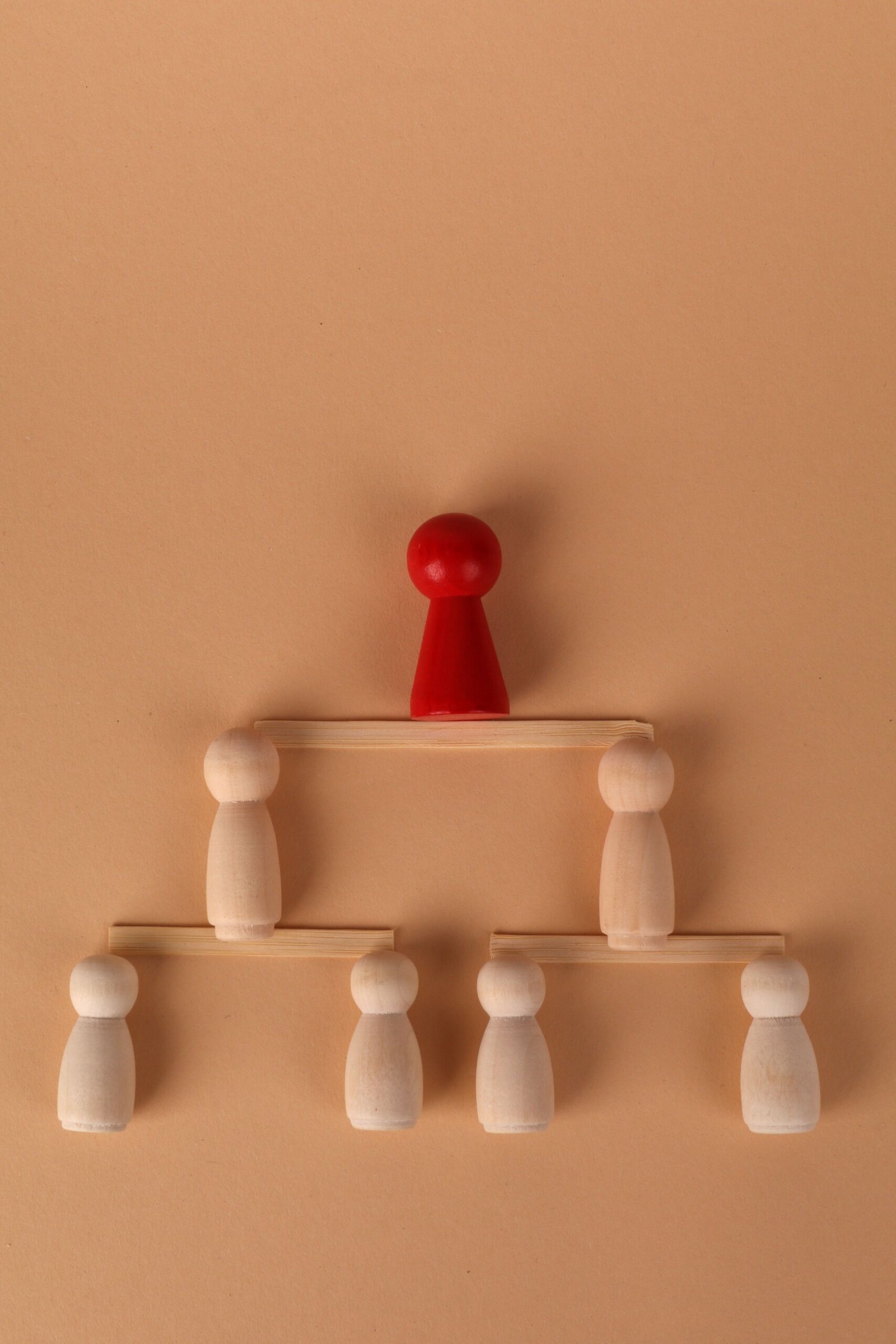 Leadership Skills Chess