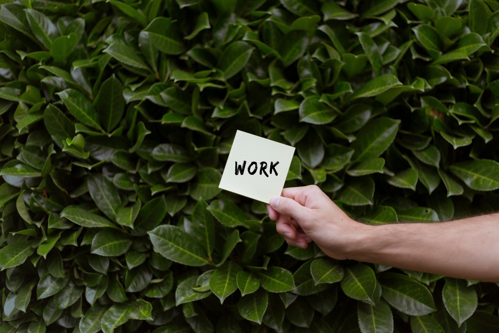 Career Work